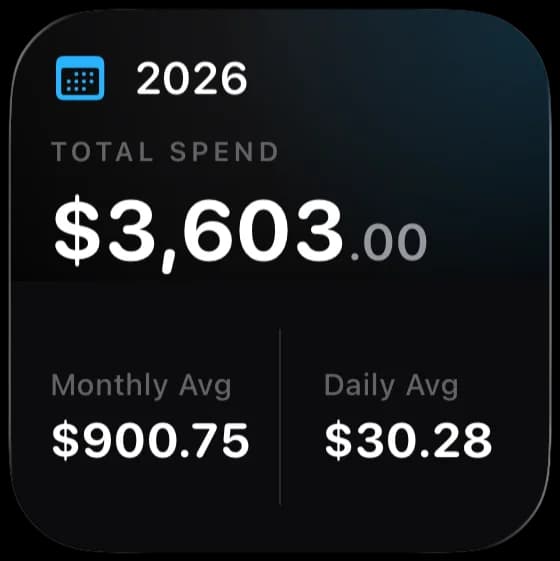Small widget: year total spending